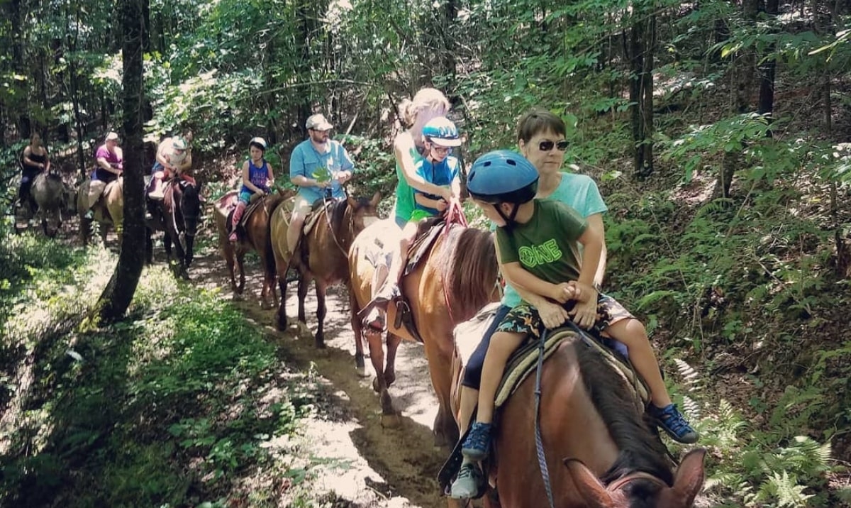 North Horseback Riding Blue Sky Cabin Rentals